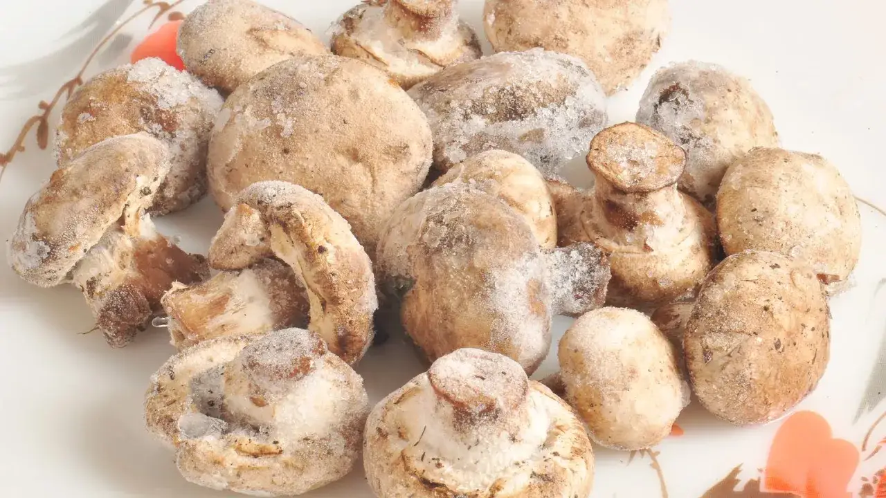 Zdjęcie Jak mrozić pieczarki - krok po kroku 6 prostych sposobów